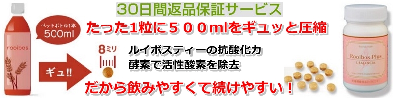 1���Ńy�b�g�{�g��1�{�����C�{�X�e�B�[�D���T�v�������g���T�C�g